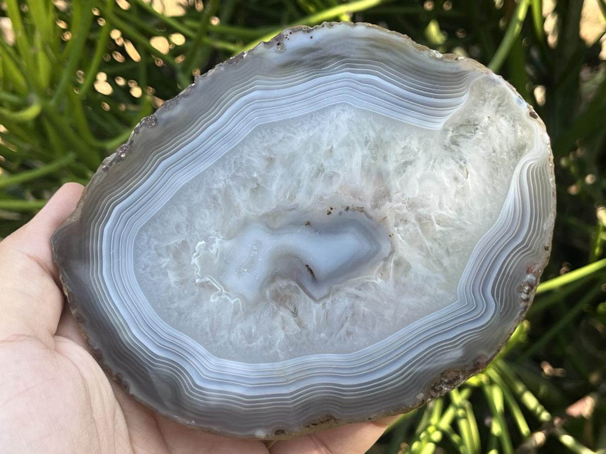 Polished Banded Agate Slice x 1 From Madagascar