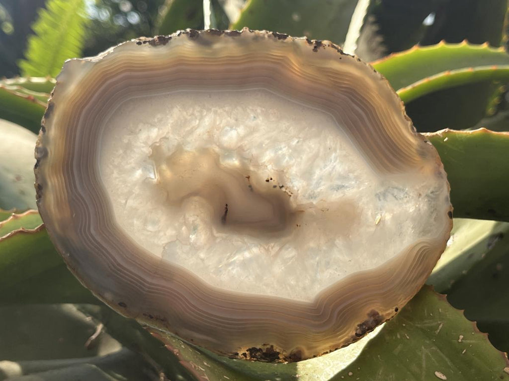 Polished Banded Agate Slice x 1 From Madagascar