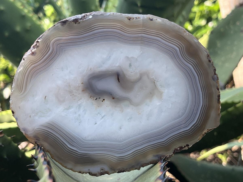 Polished Banded Agate Slice x 1 From Madagascar