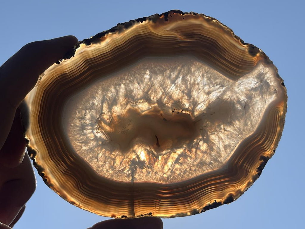Polished Banded Agate Slice x 1 From Madagascar