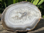 Polished Banded Agate Slice x 1 From Madagascar