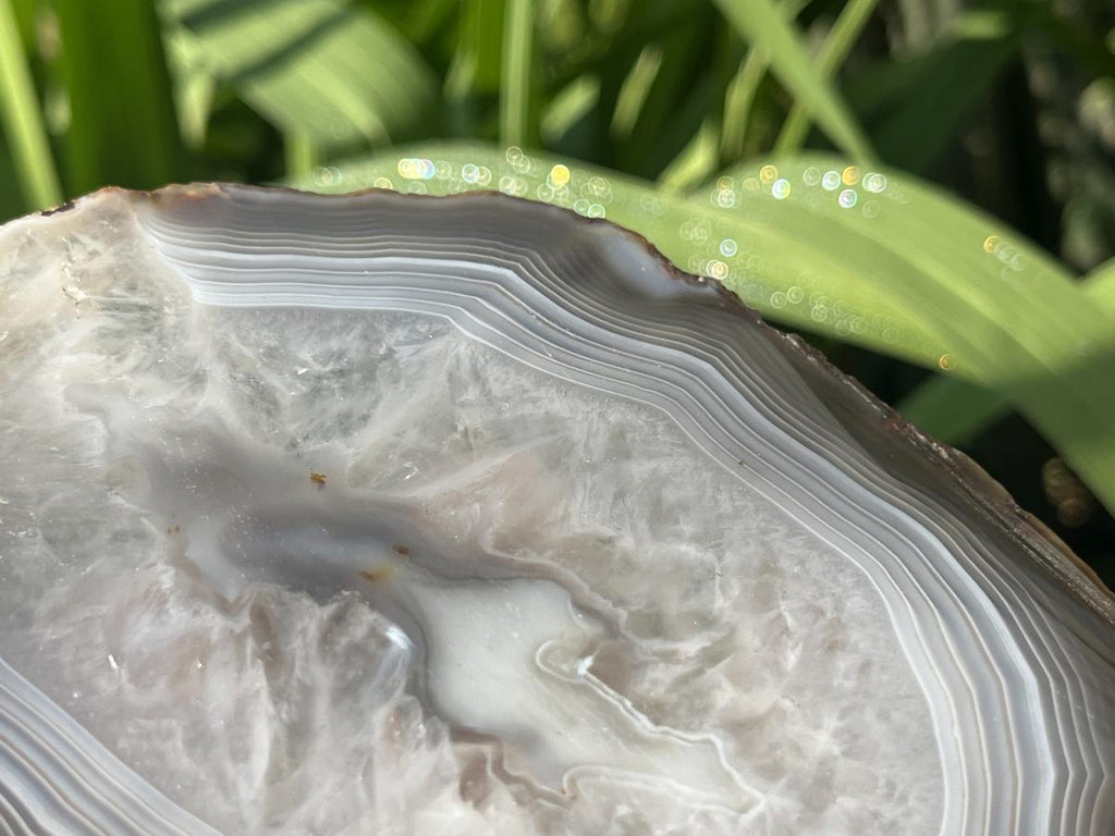 Polished Banded Agate Slice x 1 From Madagascar