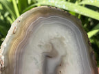 Polished Banded Agate Slice x 1 From Madagascar
