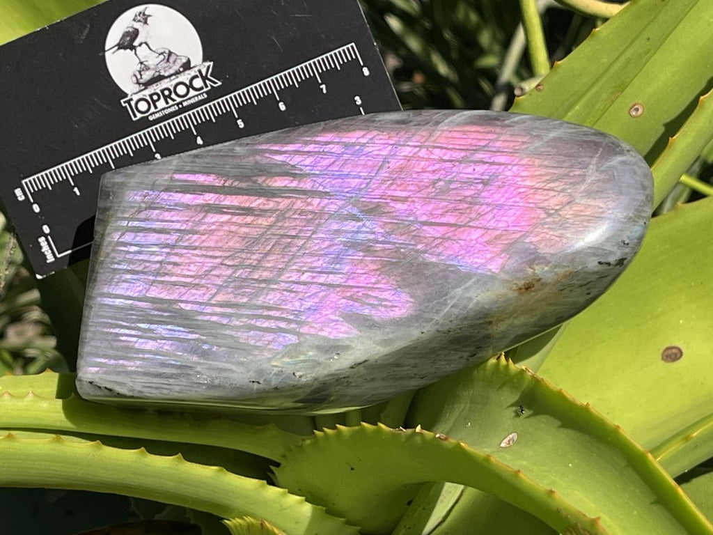 Polished Rare Purple Sunset Labradorite Standing Free Form x 1 From Tulear, Madagascar