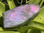 Polished Rare Purple Sunset Labradorite Standing Free Form x 1 From Tulear, Madagascar