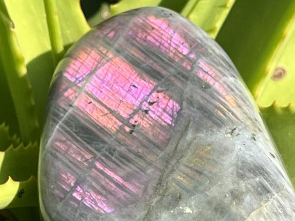 Polished Rare Purple Sunset Labradorite Standing Free Form x 1 From Tulear, Madagascar