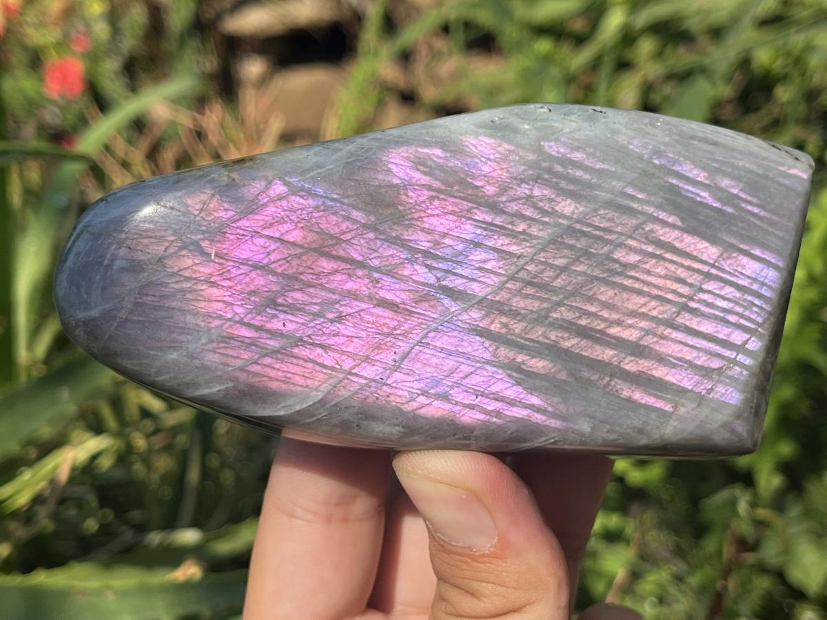 Polished Rare Purple Sunset Labradorite Standing Free Form x 1 From Tulear, Madagascar