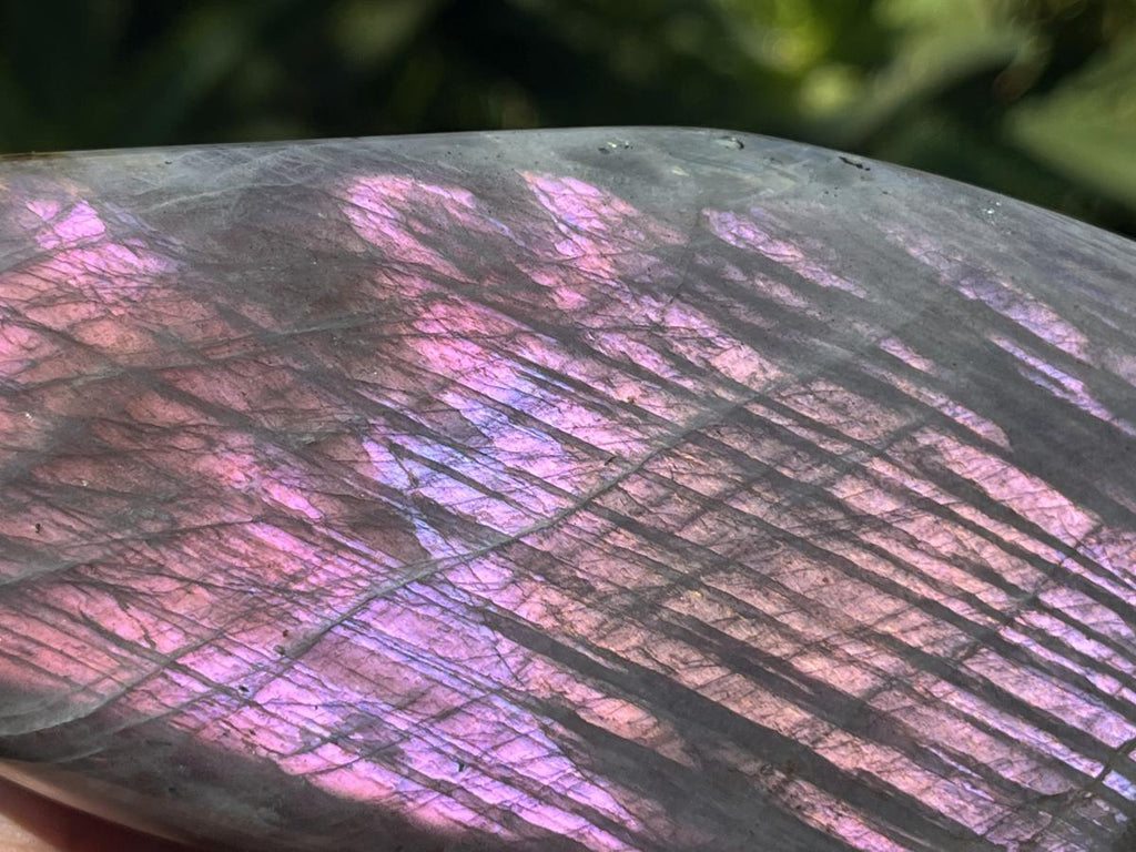 Polished Rare Purple Sunset Labradorite Standing Free Form x 1 From Tulear, Madagascar