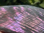 Polished Rare Purple Sunset Labradorite Standing Free Form x 1 From Tulear, Madagascar