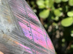 Polished Rare Purple Sunset Labradorite Standing Free Form x 1 From Tulear, Madagascar