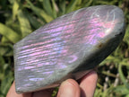 Polished Rare Purple Sunset Labradorite Standing Free Form x 1 From Tulear, Madagascar