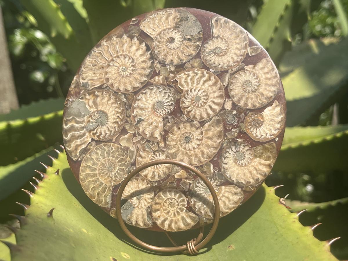 Hand Made Conglomerate Fossil Ammonite Plaque x 1 From Madagascar