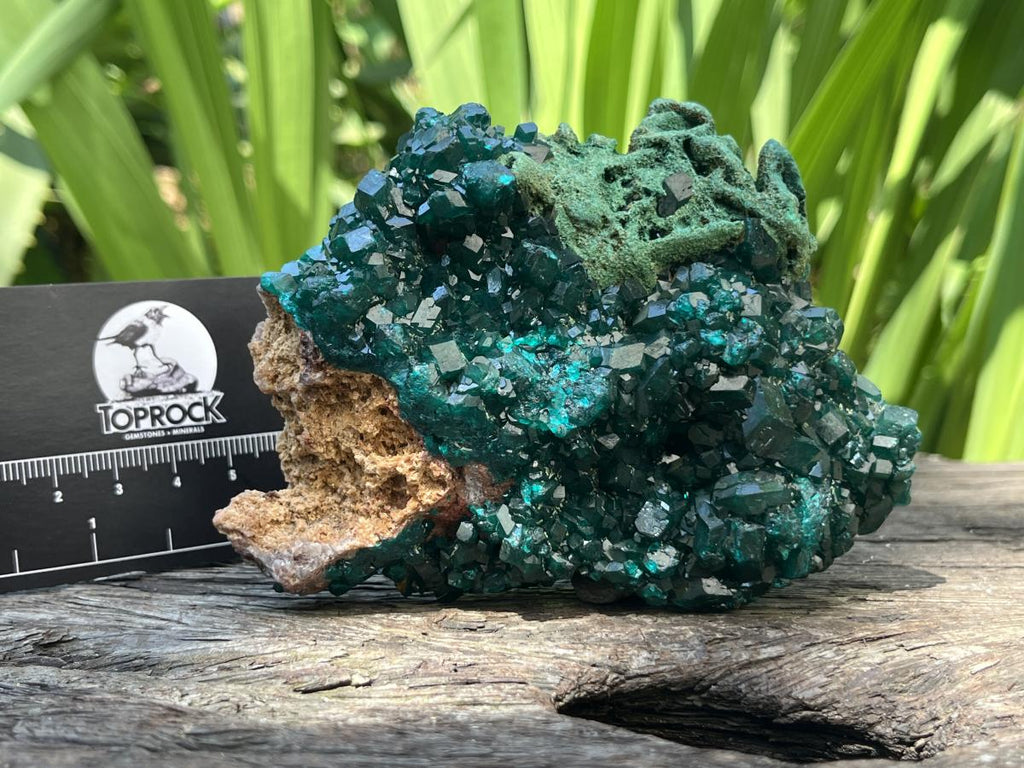 Natural Dioptase With Crystalline Malachite On Dolomite Specimen x 1 From Likasi, Congo
