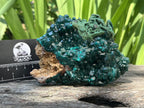 Natural Dioptase With Crystalline Malachite On Dolomite Specimen x 1 From Likasi, Congo