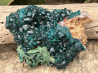Natural Dioptase With Crystalline Malachite On Dolomite Specimen x 1 From Likasi, Congo