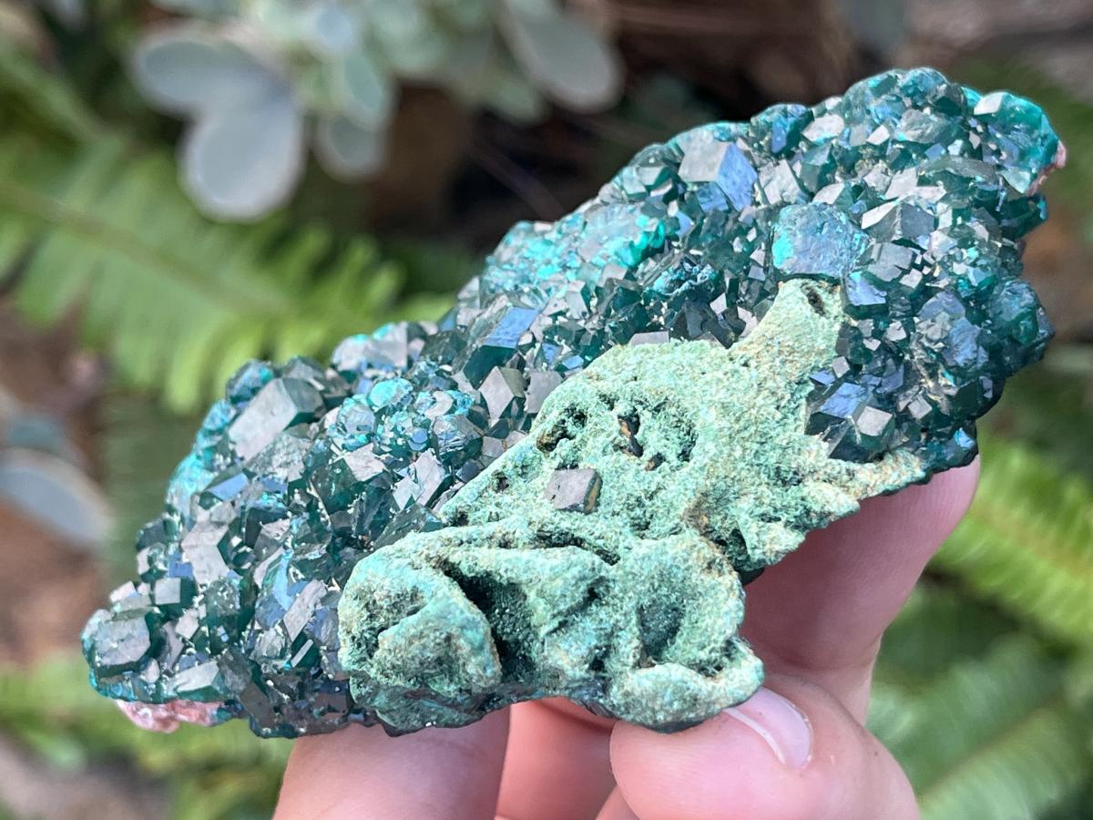 Natural Dioptase With Crystalline Malachite On Dolomite Specimen x 1 From Likasi, Congo