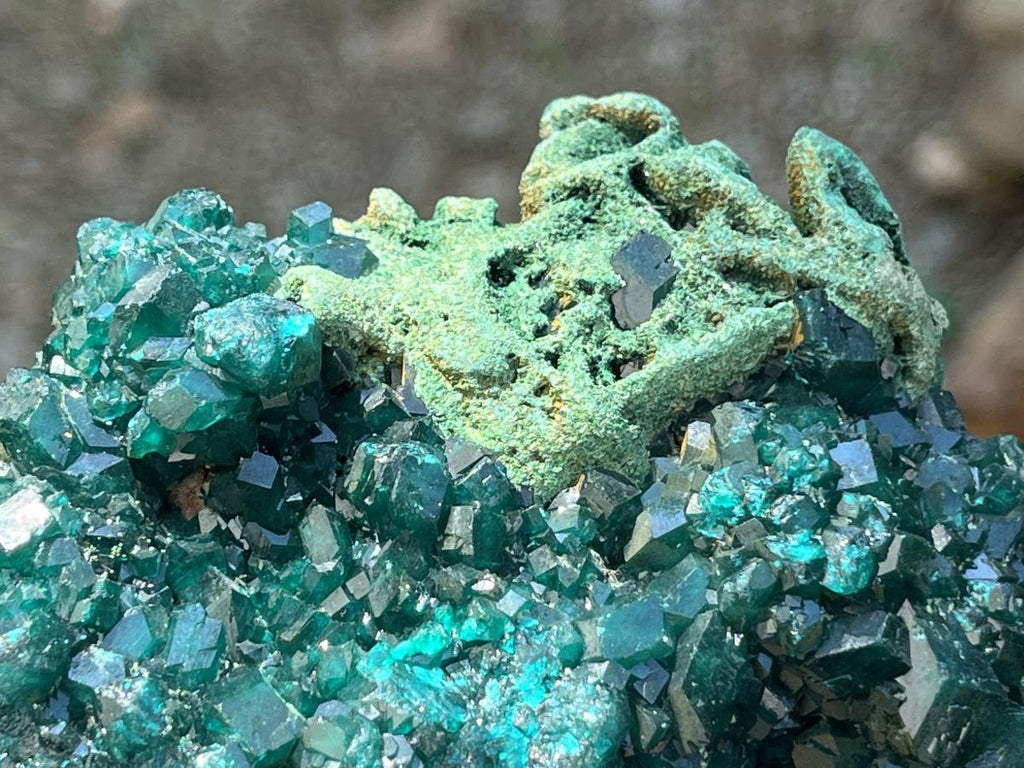 Natural Dioptase With Crystalline Malachite On Dolomite Specimen x 1 From Likasi, Congo