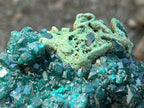 Natural Dioptase With Crystalline Malachite On Dolomite Specimen x 1 From Likasi, Congo