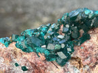Natural Dioptase With Crystalline Malachite On Dolomite Specimen x 1 From Likasi, Congo