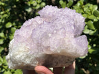 Natural Sunburst Amethyst Cactus Flower Crystal Cluster x 1 From Boekenhouthoek, South Africa