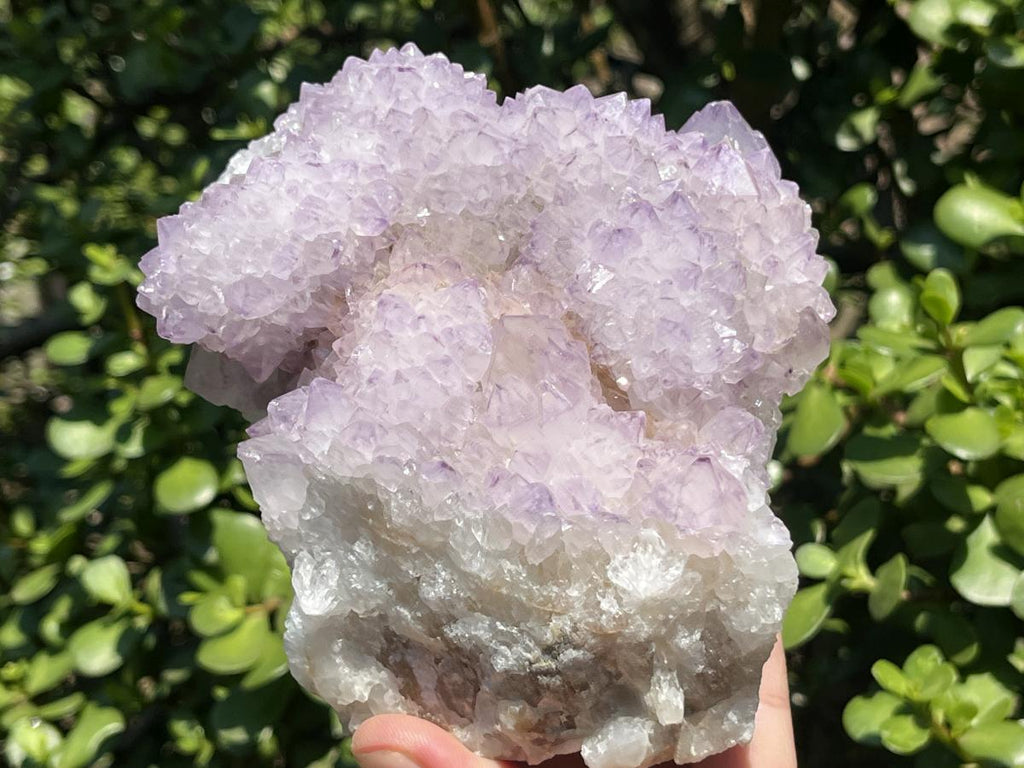 Natural Sunburst Amethyst Cactus Flower Crystal Cluster x 1 From Boekenhouthoek, South Africa