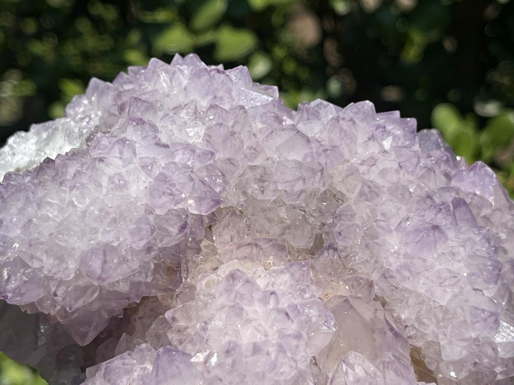 Natural Sunburst Amethyst Cactus Flower Crystal Cluster x 1 From Boekenhouthoek, South Africa