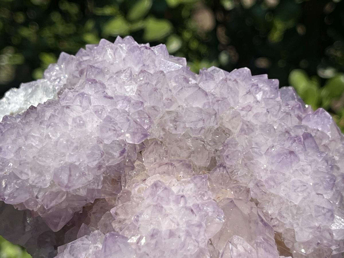Natural Sunburst Amethyst Cactus Flower Crystal Cluster x 1 From Boekenhouthoek, South Africa