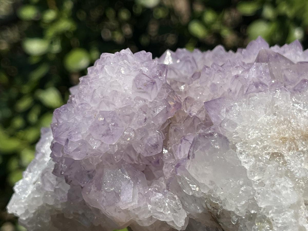 Natural Sunburst Amethyst Cactus Flower Crystal Cluster x 1 From Boekenhouthoek, South Africa