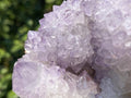 Natural Sunburst Amethyst Cactus Flower Crystal Cluster x 1 From Boekenhouthoek, South Africa