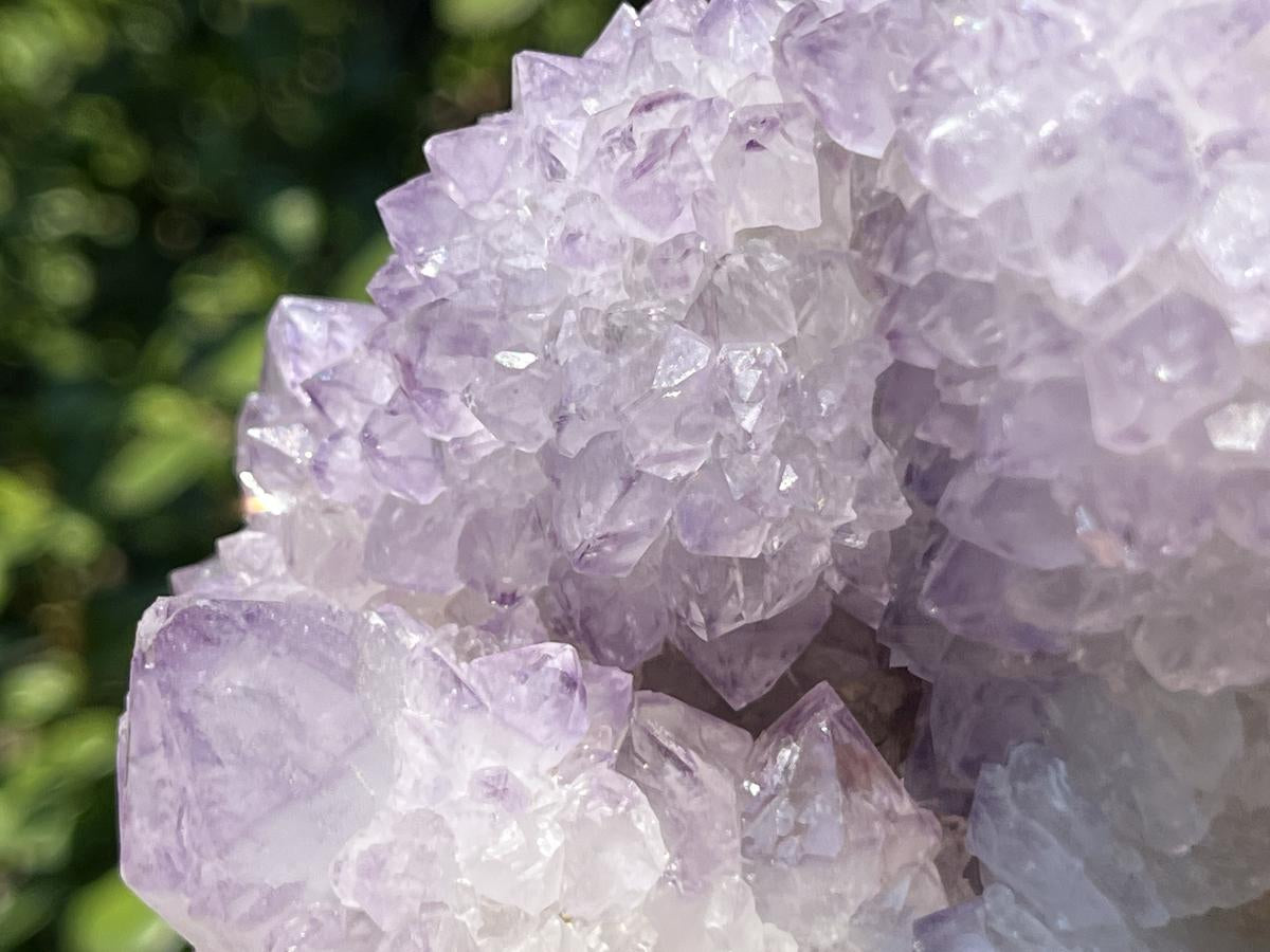 Natural Sunburst Amethyst Cactus Flower Crystal Cluster x 1 From Boekenhouthoek, South Africa
