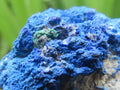 Natural Crystalline Azurite And Malachite Nodule x 1 From Jakka Mine, Congo