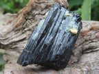 Natural Shiny Schorl Black Tourmaline With Fluorite Specimen x 1 From Erongo, Namibia