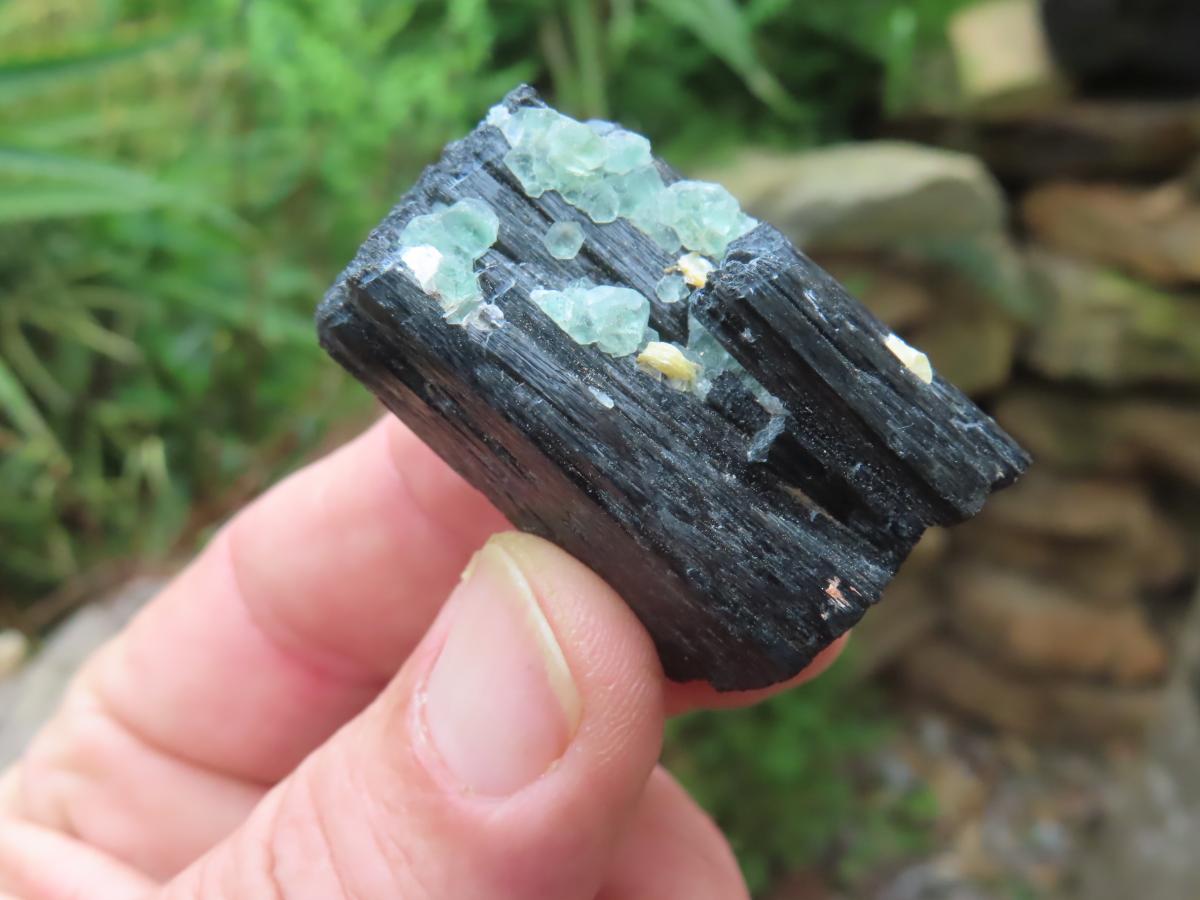 Natural Shiny Schorl Black Tourmaline With Fluorite Specimen x 1 From Erongo, Namibia