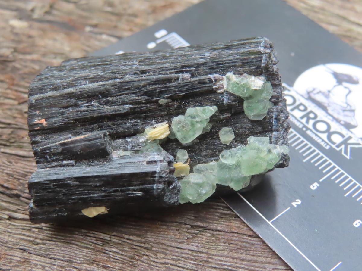Natural Shiny Schorl Black Tourmaline With Fluorite Specimen x 1 From Erongo, Namibia