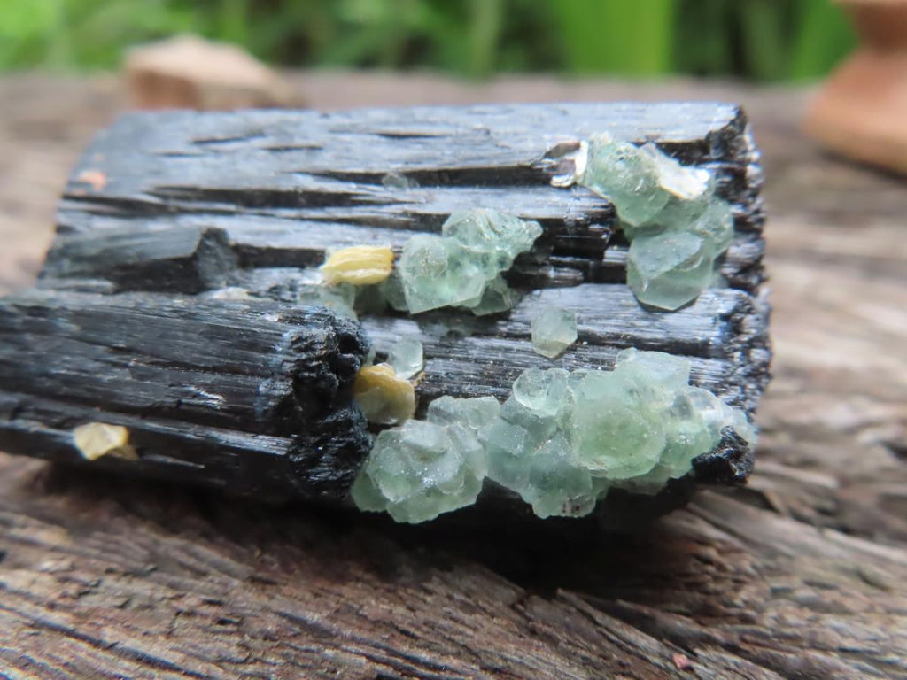 Natural Shiny Schorl Black Tourmaline With Fluorite Specimen x 1 From Erongo, Namibia