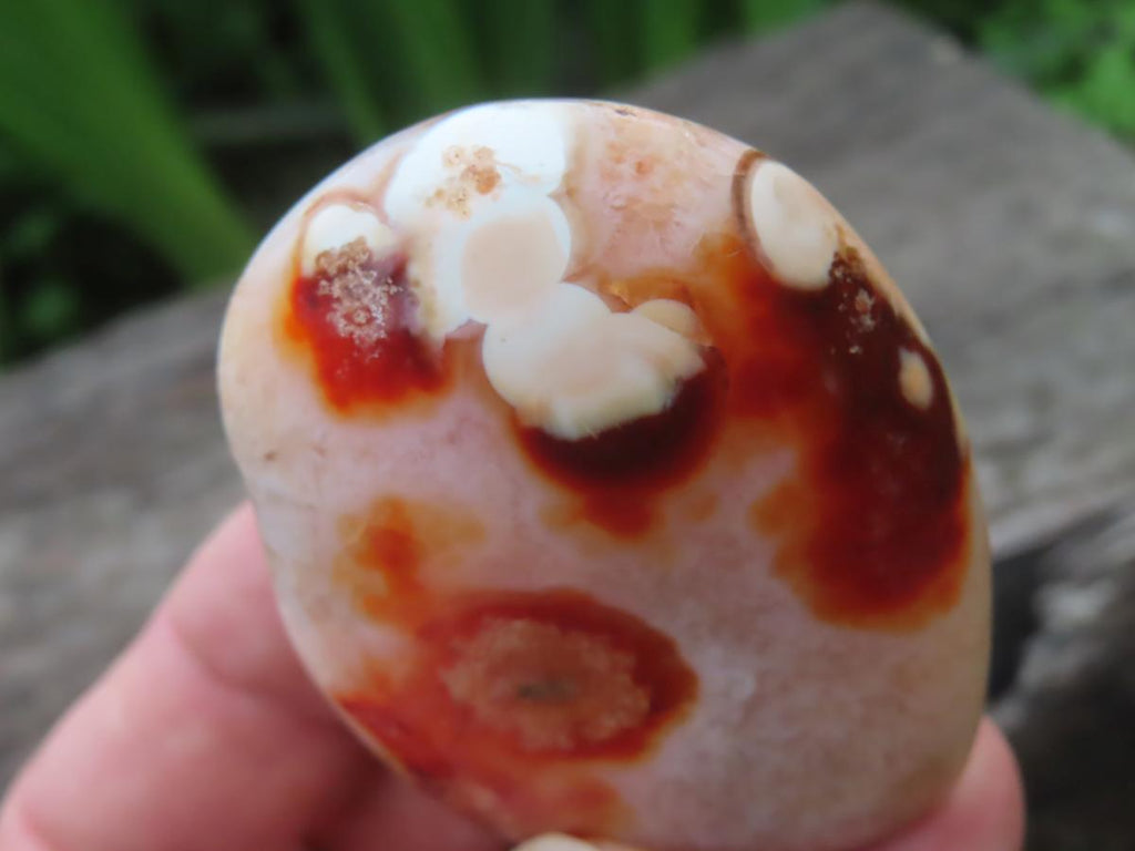 Polished Flower Carnelian Standing Free Form x 1 From Madagascar