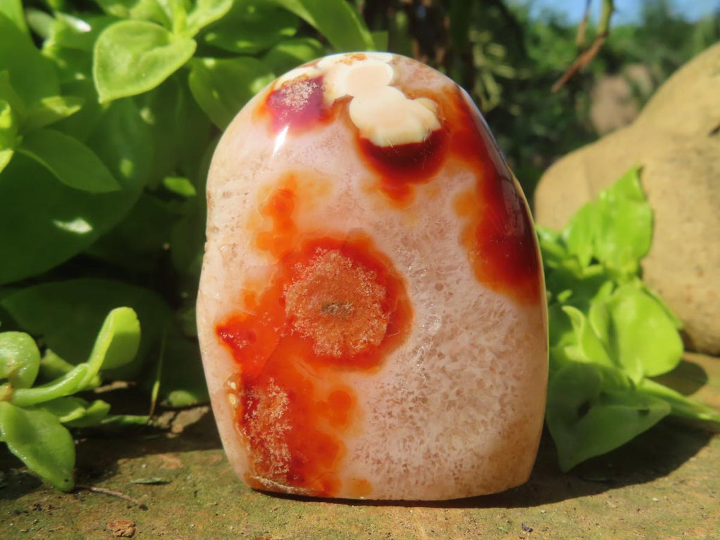 Polished Flower Carnelian Standing Free Form x 1 From Madagascar