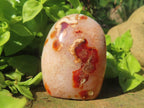 Polished Flower Carnelian Standing Free Form x 1 From Madagascar