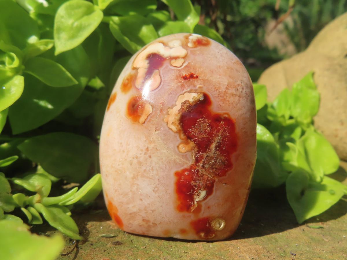 Polished Flower Carnelian Standing Free Form x 1 From Madagascar