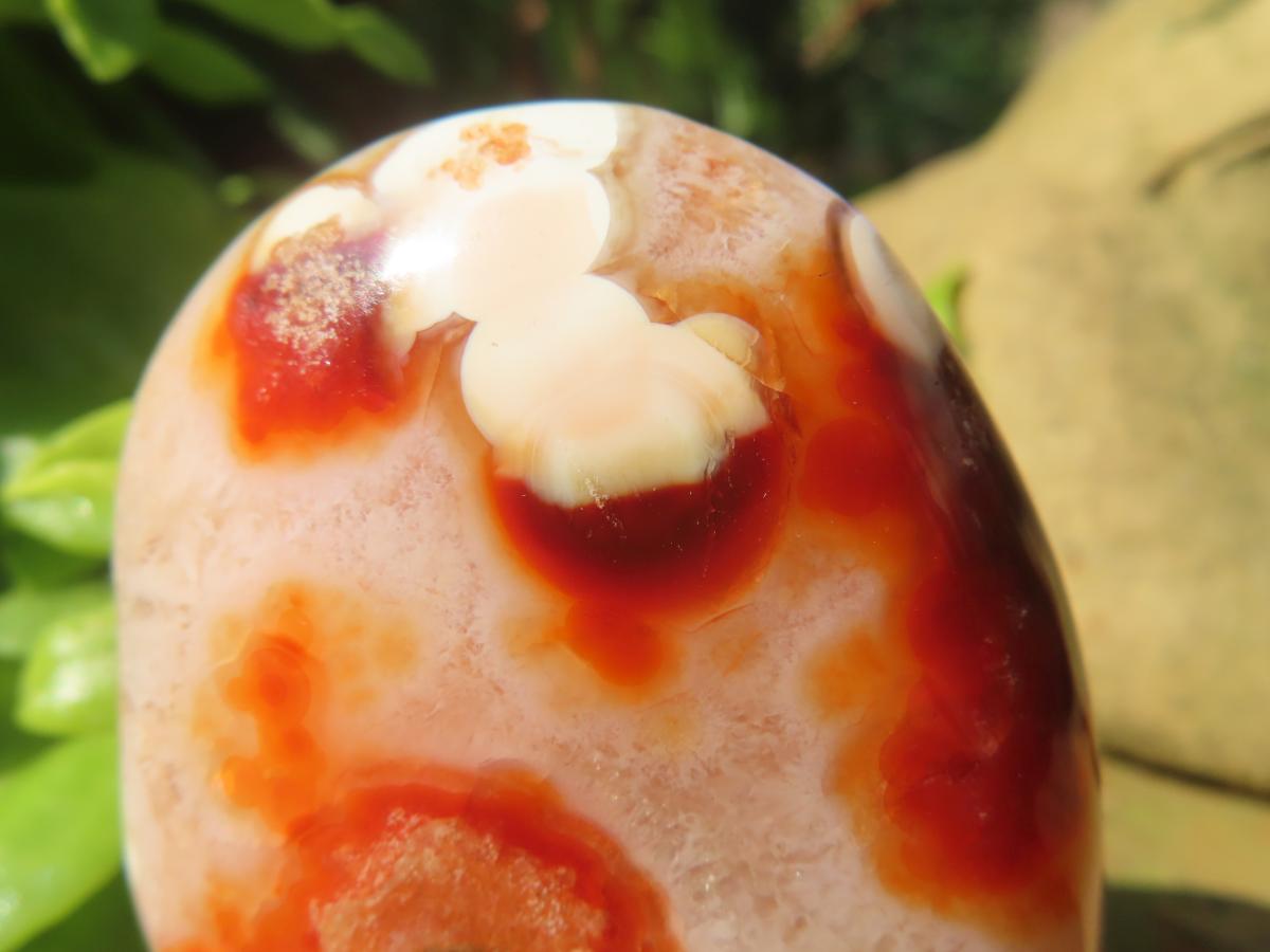 Polished Flower Carnelian Standing Free Form x 1 From Madagascar