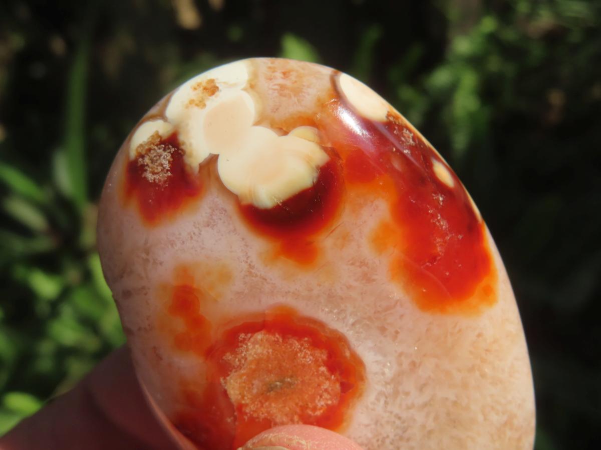 Polished Flower Carnelian Standing Free Form x 1 From Madagascar