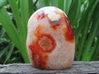 Polished Flower Carnelian Standing Free Form x 1 From Madagascar