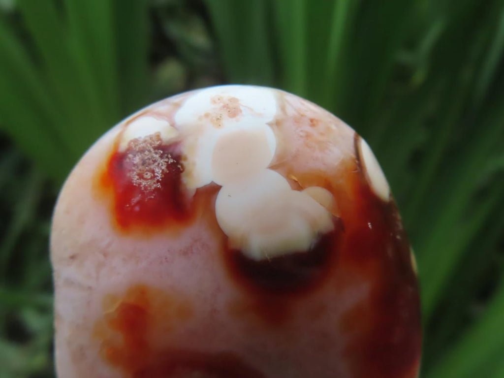 Polished Flower Carnelian Standing Free Form x 1 From Madagascar