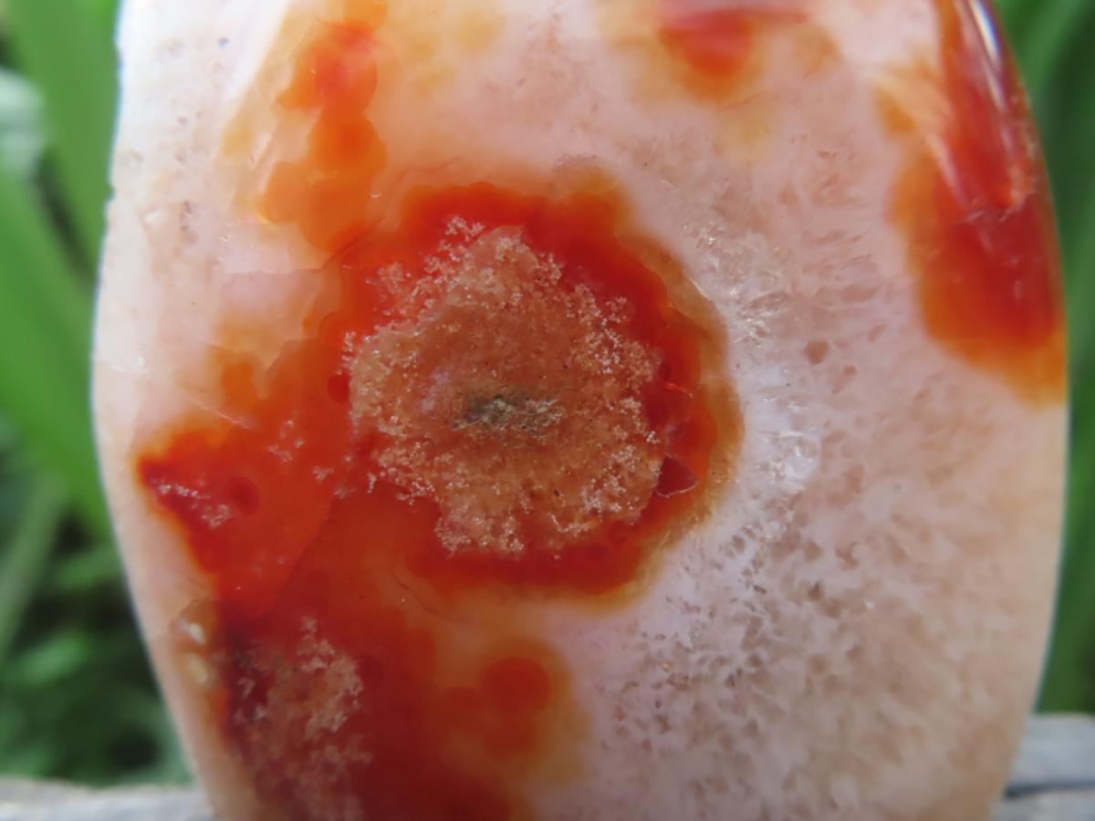 Polished Flower Carnelian Standing Free Form x 1 From Madagascar