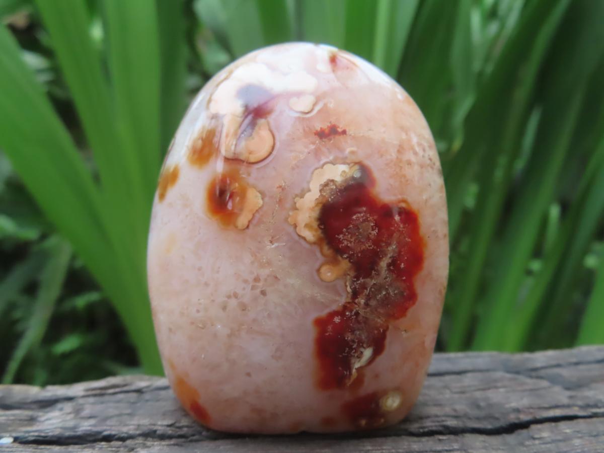 Polished Flower Carnelian Standing Free Form x 1 From Madagascar