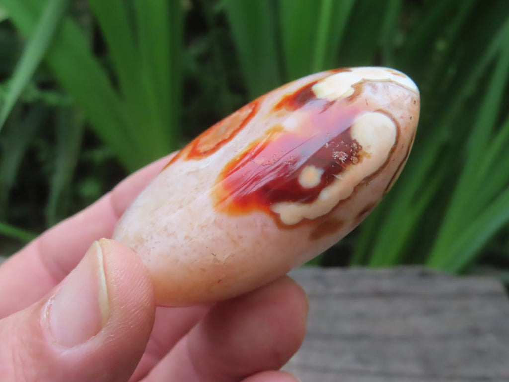 Polished Flower Carnelian Standing Free Form x 1 From Madagascar