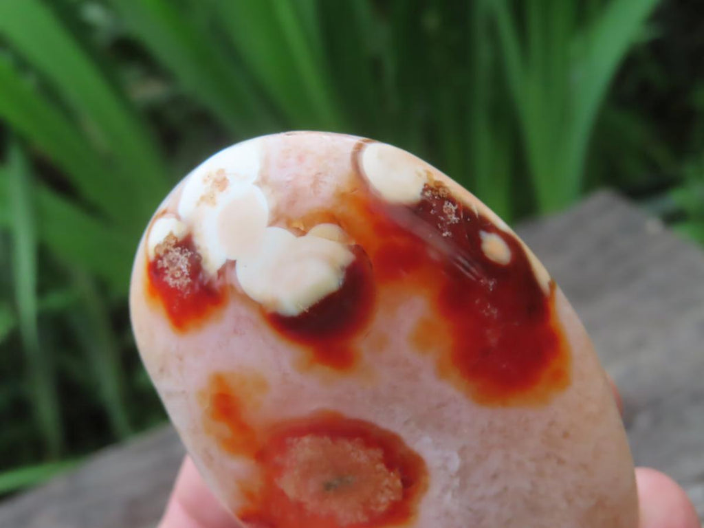 Polished Flower Carnelian Standing Free Form x 1 From Madagascar