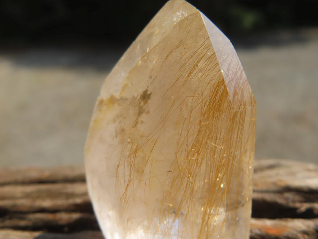 Polished Rare Golden Rutile Clear Quartz Crystal x 1 From Madagascar