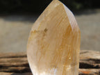 Polished Rare Golden Rutile Clear Quartz Crystal x 1 From Madagascar