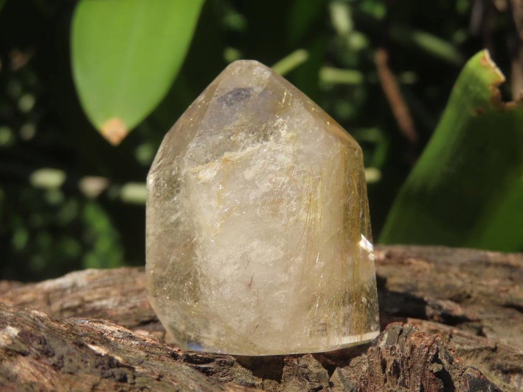 Polished Rare Golden Rutile Clear Quartz Crystal x 1 From Madagascar